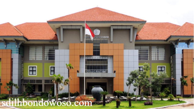 Rekomendasi Universitas Terbaik di Nusa Tenggara Timur